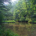 Sheltowee Trace reflections